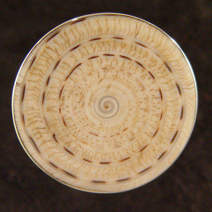 R0901 | Ring